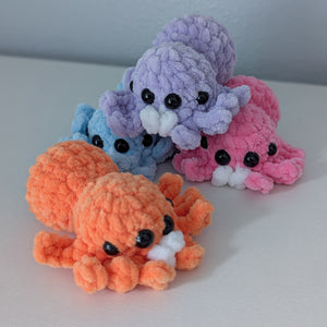 Jumping Spiders