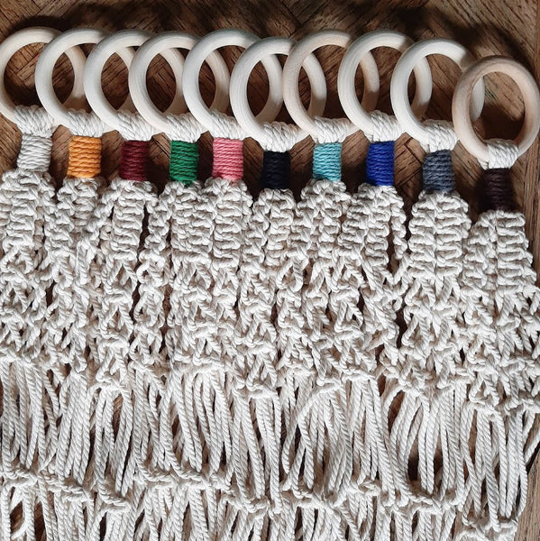 Colorful Plant Hangers