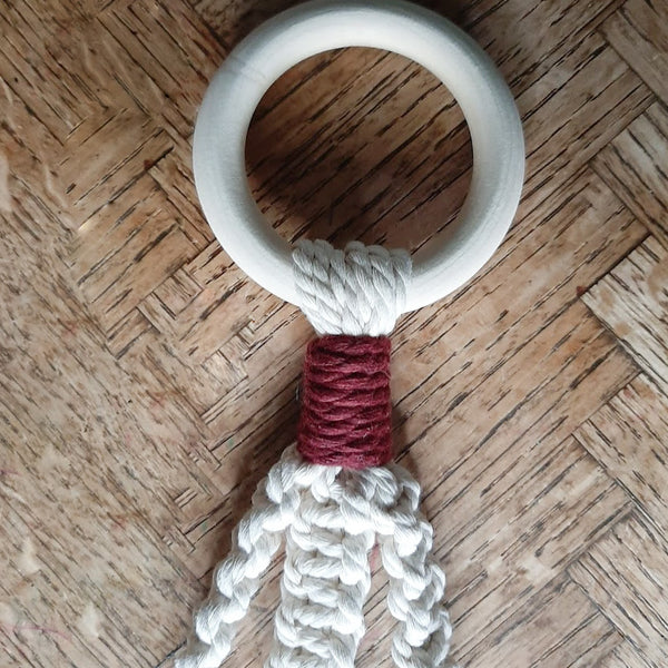 Colorful Plant Hangers