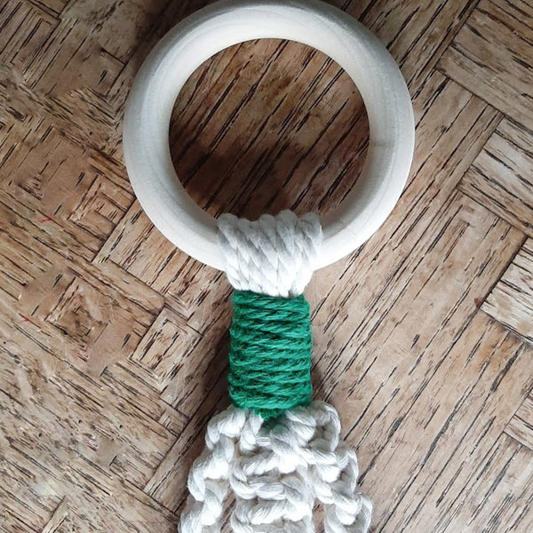 Colorful Plant Hangers