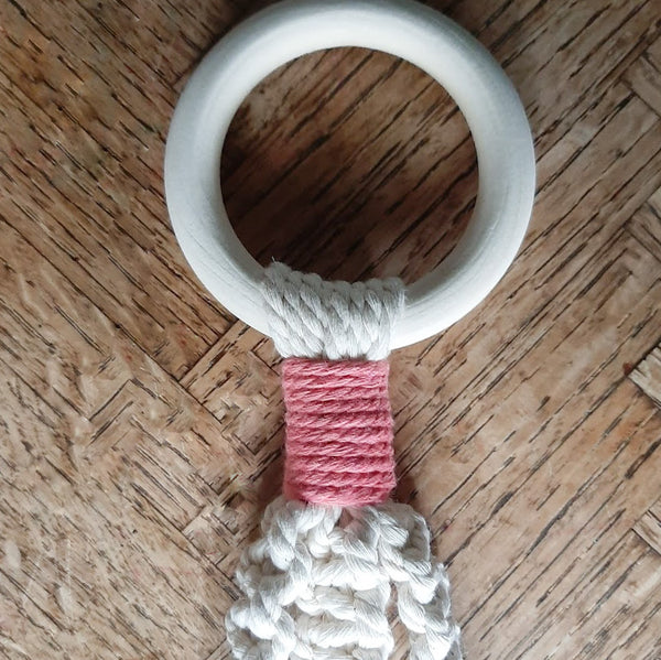 Colorful Plant Hangers