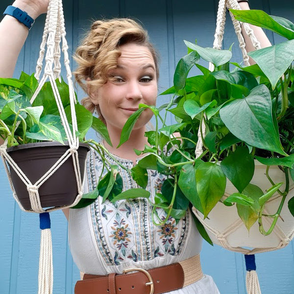 Colorful Plant Hangers