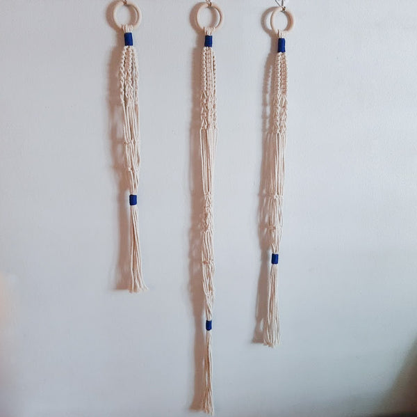 Colorful Plant Hangers